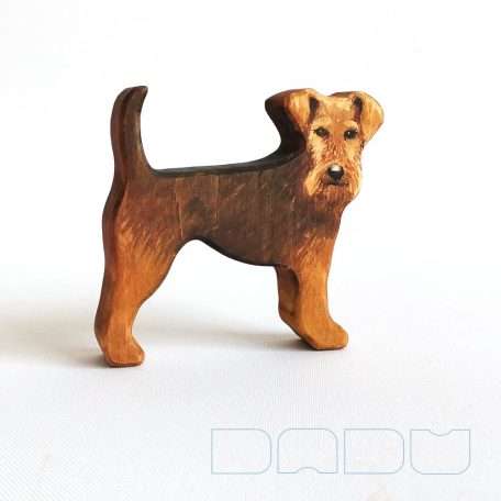 Welsh terrier dadudog